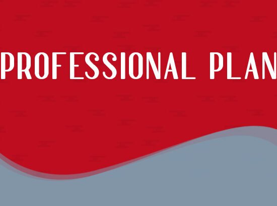 Professional Plan