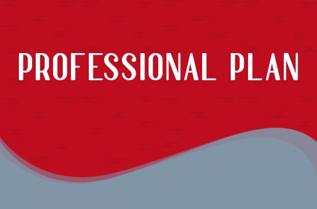 Professional Plan